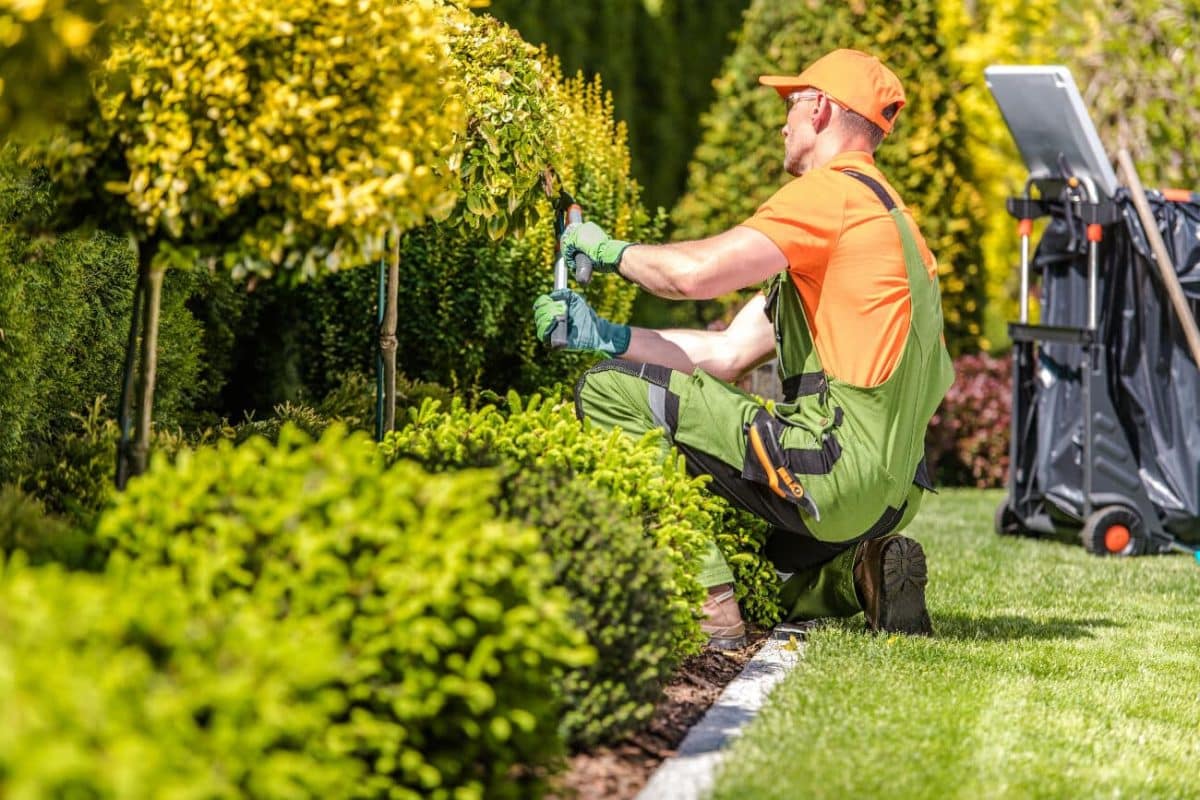 entretenir votre jardin