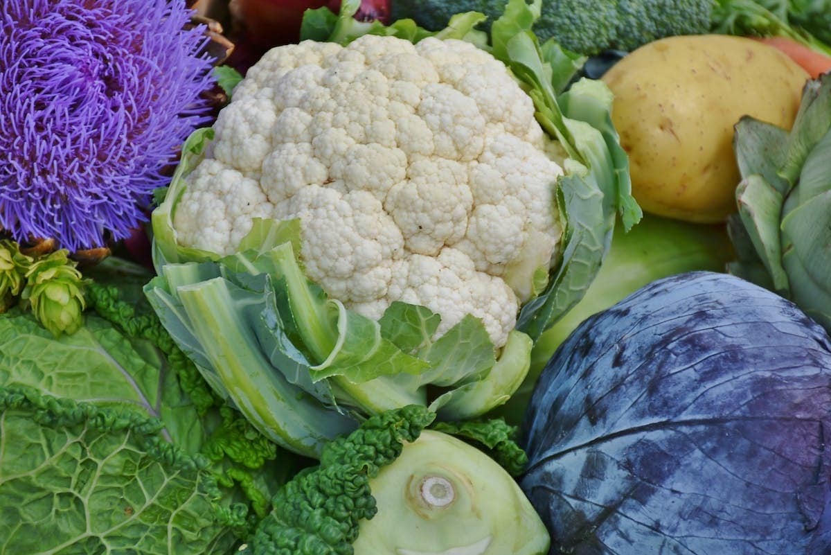 potager  saisons