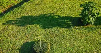 green grass field during daytime