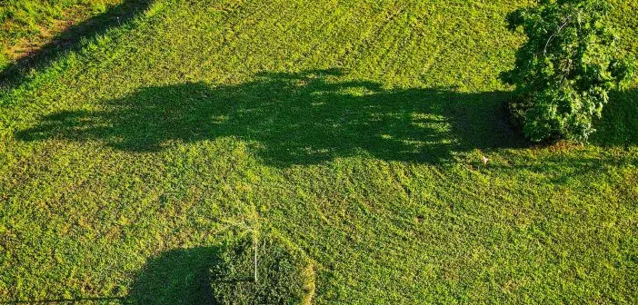 green grass field during daytime