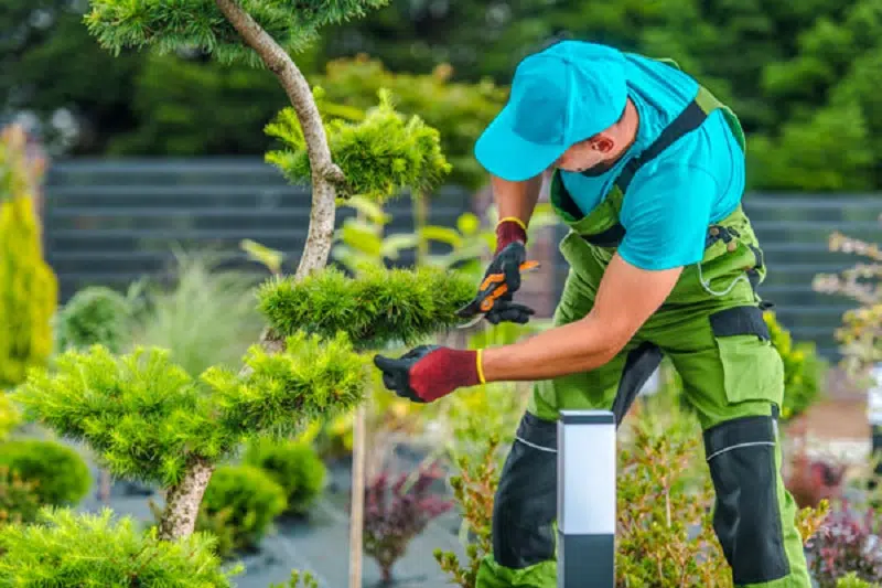 Comment aménager son jardin