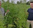 Le cannabis pourrait-il aider l'agriculture régénérative