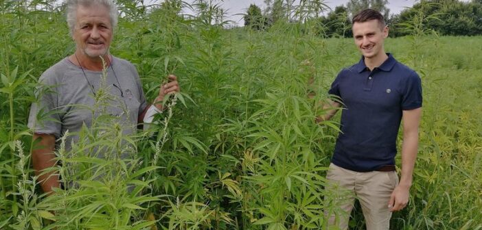 Le cannabis pourrait-il aider l'agriculture régénérative