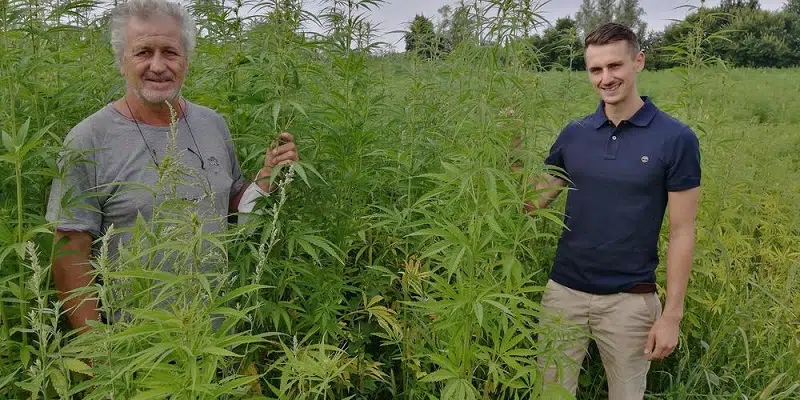 Le cannabis pourrait-il aider l'agriculture régénérative