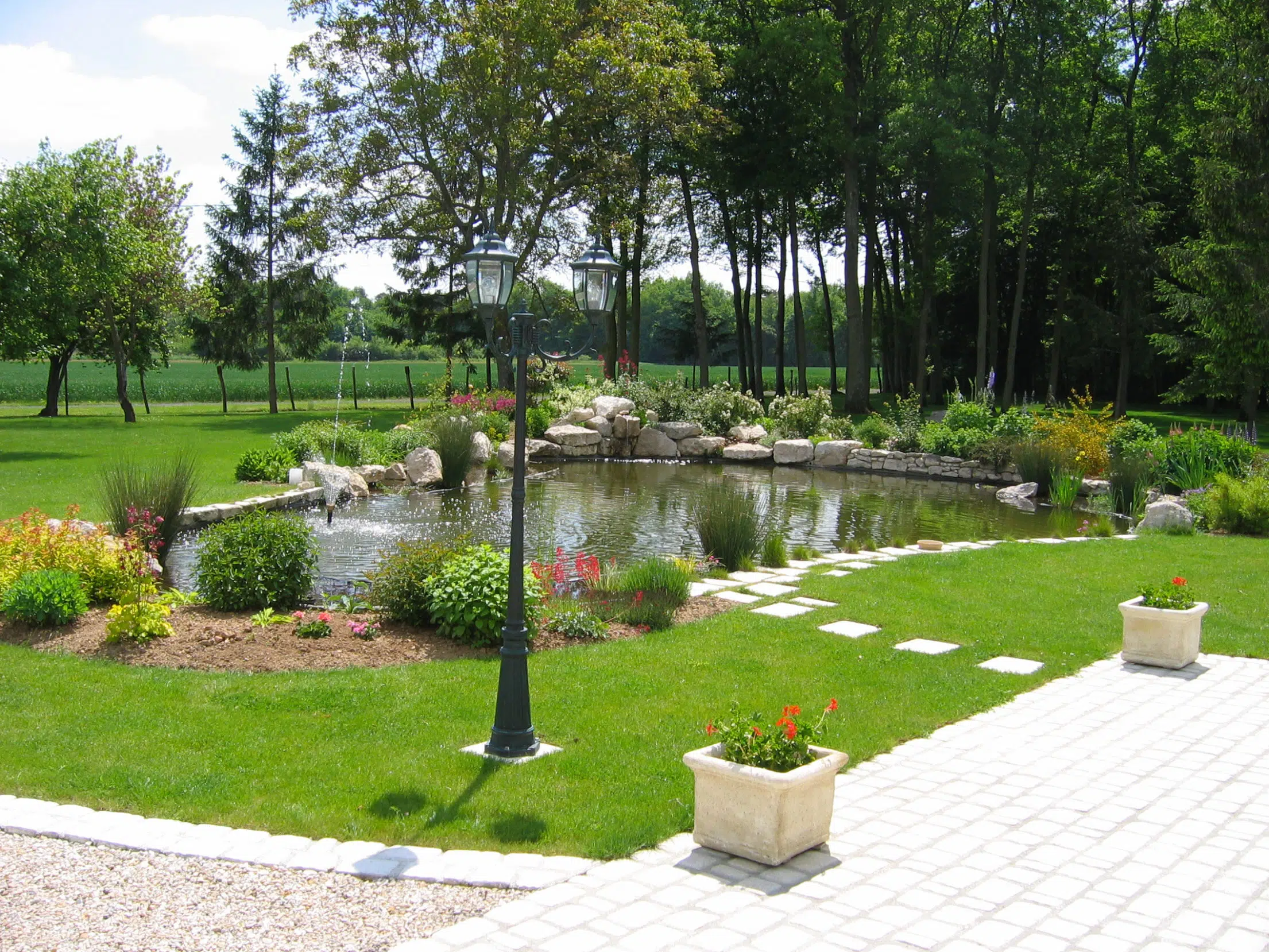 L'aperçu d'un jardin bien aéré