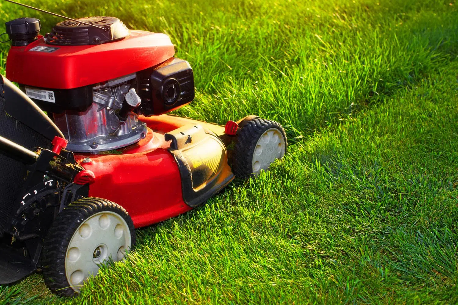 Le matériel pour entretenir un jardin