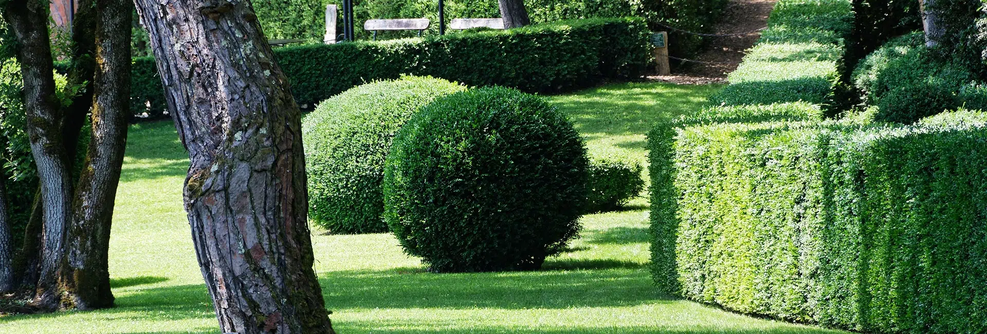 Réussir à bien entretenir un jardin