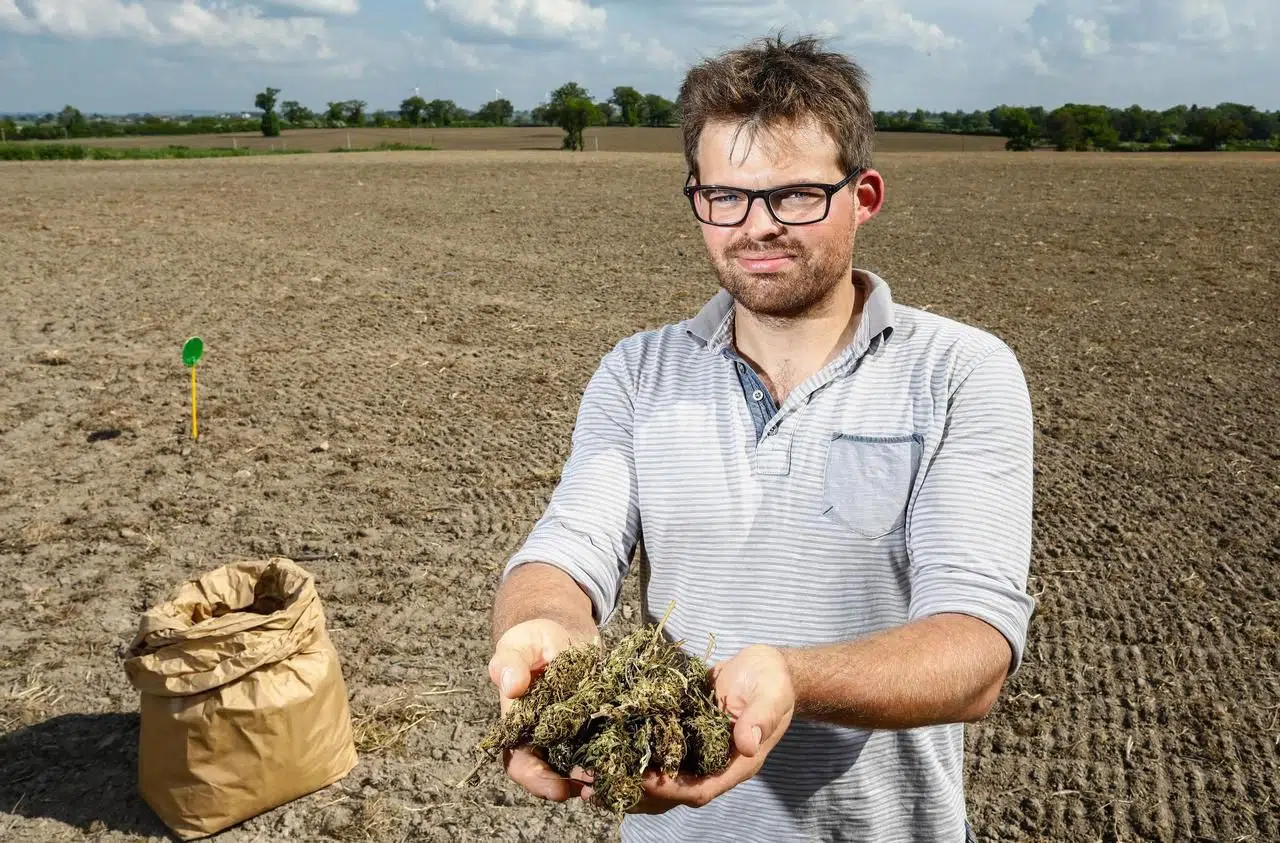 cannabis pourrait-il aider l'agriculture régénérative