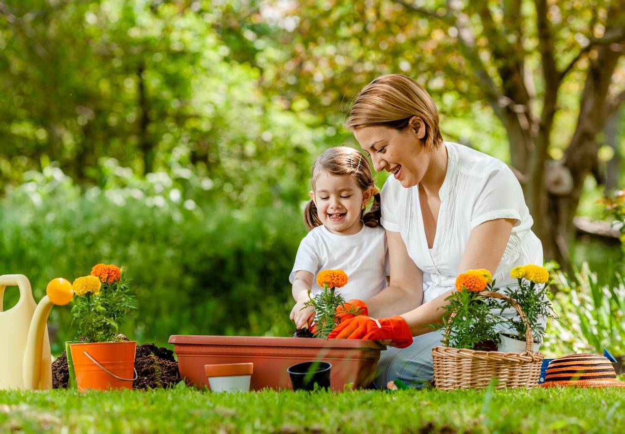 préserver biodiversité dans son jardin