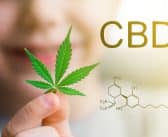 Comment est cultivé le CBD, désormais autorisé en France ?