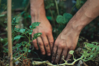 Faire appel à un jardinier à domicile : une bonne idée pour votre jardin et votre budget ?