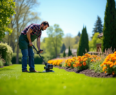 Scarification du gazon : pourquoi et comment l’effectuer pour un jardin en pleine santé ?