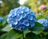 Fleur bleue : Découvrez les plus belles variétés à cultiver en jardin