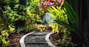 chemin en pierres dans un jardin coloré