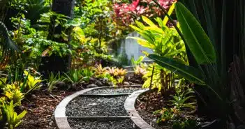 chemin en pierres dans un jardin coloré