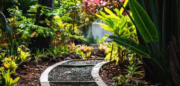 chemin en pierres dans un jardin coloré