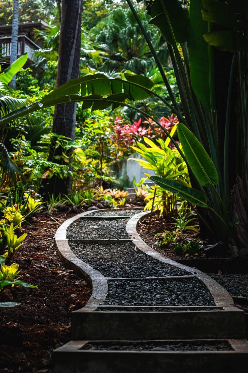 chemin en pierres dans un jardin coloré