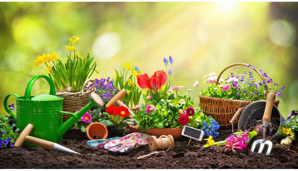 Quels matériels pour les travaux de jardin ? - Jardindivert