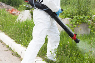 Moustiques dans le Var : ce que peut faire le jardinier (et quand ça ne suffit plus)
