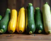 Quel est le poids des courgettes en fonction de leur variété ?