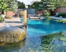 piscine naturelle