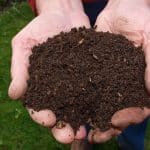 Tout savoir sur le lombricomposteur